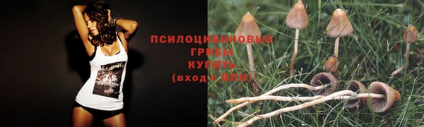 дистиллят марихуана Сосновоборск