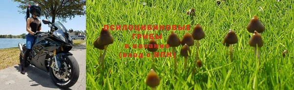 прущая мука Зеленокумск