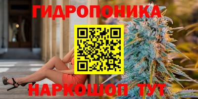ешки Гагарин