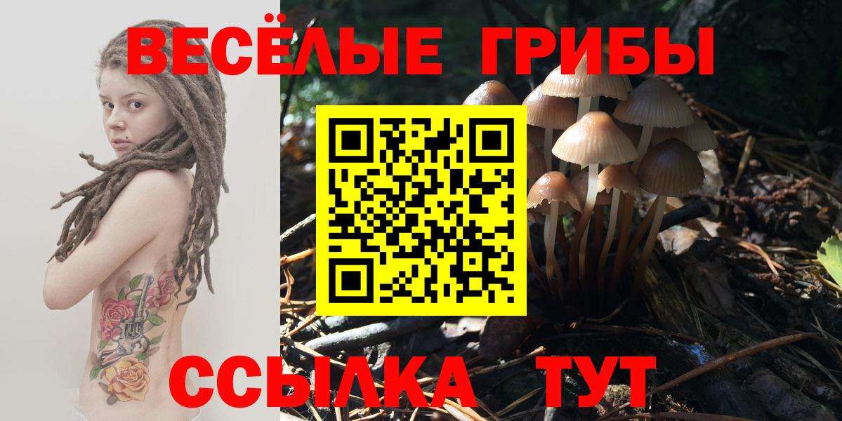 Галлюциногенные грибы Psilocybine cubensis Десногорск